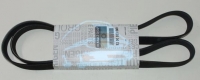 Ремень генератора 1.9dTi dCi 01-  Master