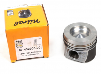 Поршень VW Jetta Golf Caddy 1.6TDI 05- (79.75mm +0.25)