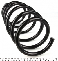 Пружина передняя 1.6i-1.9D dCi