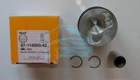 Поршня 1.9TDI 79.51mm STD (1,2 сyl.) (87 72162)