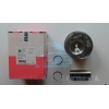 Поршня 1.9TDI 79.51mm STD (3,4сyl.)