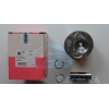 Поршня 2.5TDI 81.01mm (1,2 сyl.)