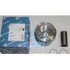 Поршня двигателя 2.0dCi 84mm STD