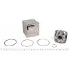 Поршень двигателя 1.5dCi, 76mm