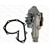 Помпа воды 1.9dTi 98-01  KANGOO 98-