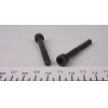 Болт крепления распредвала,1.9TDI (M6x54)