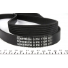 Ремень генератора 1.9dTi dCi 01-  Master