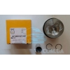 Поршня 2.5TDI 81.01 + 0.50mm (1,2 сyl.) (87 72179050)
